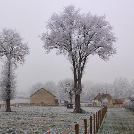 Bienvenue A La Grenouillere Villa Le Magny  Dış mekan fotoğraf
