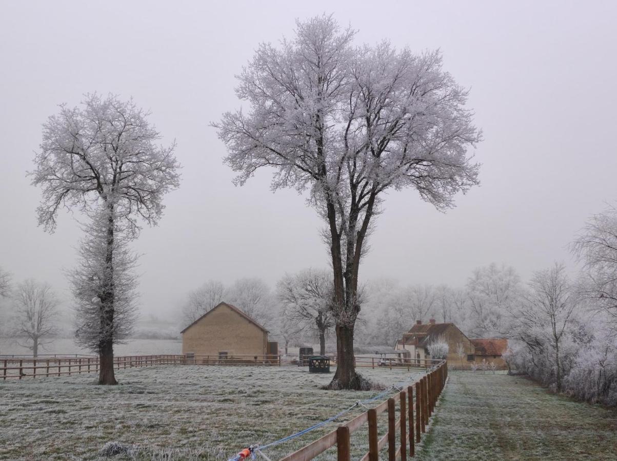 Bienvenue A La Grenouillere Villa Le Magny  Dış mekan fotoğraf