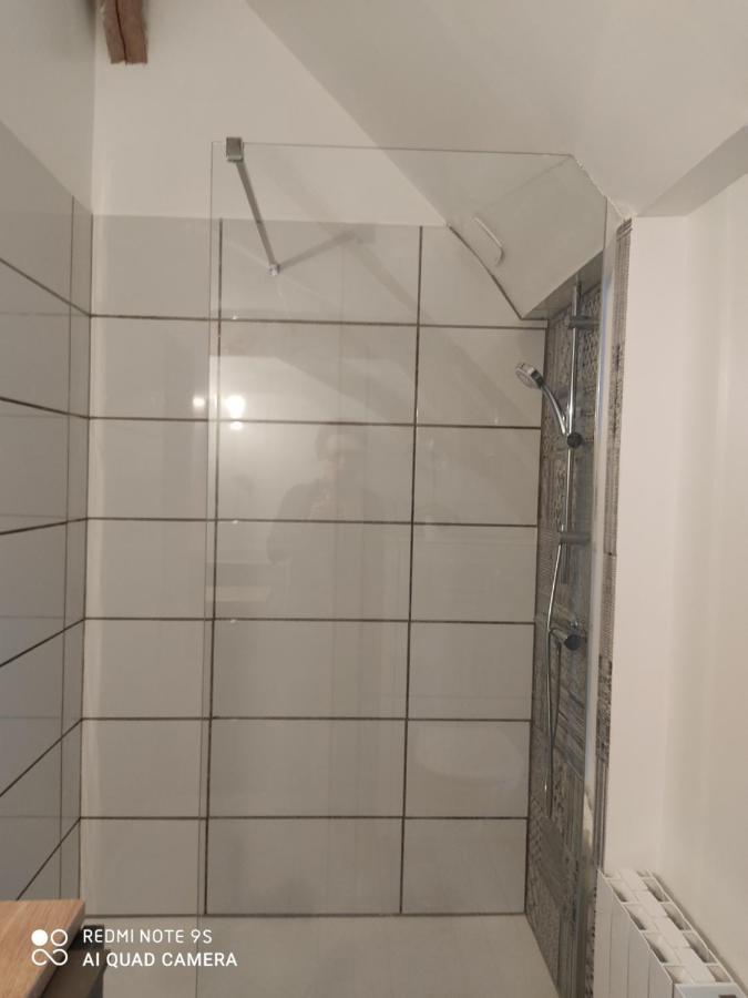 Bienvenue A La Grenouillere Villa Le Magny  Dış mekan fotoğraf